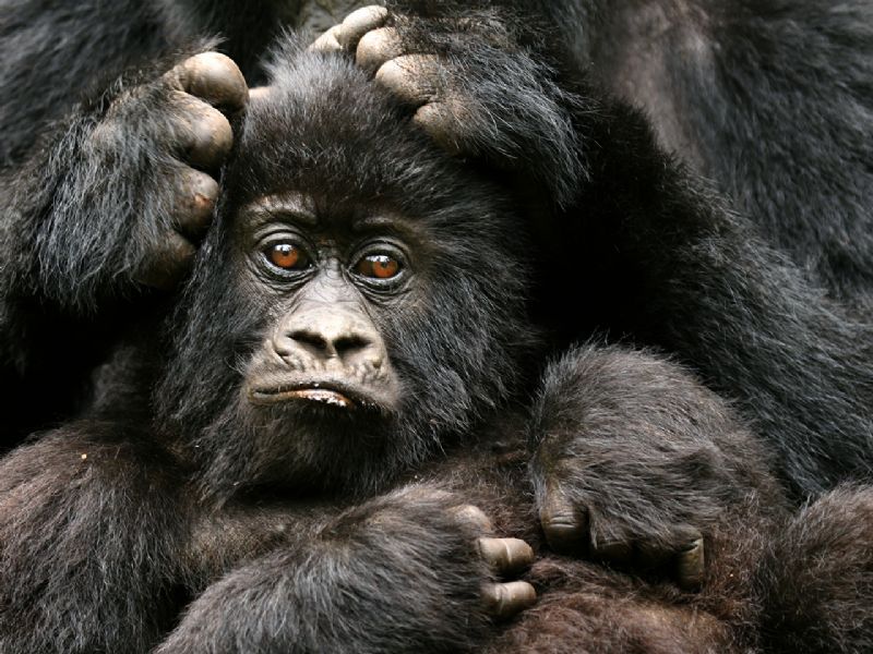Rwanda