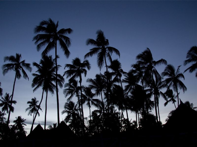 Zanzibar