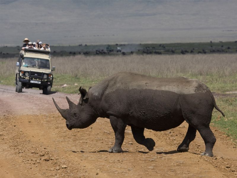 Best of Uganda & Tanzania (17 days)