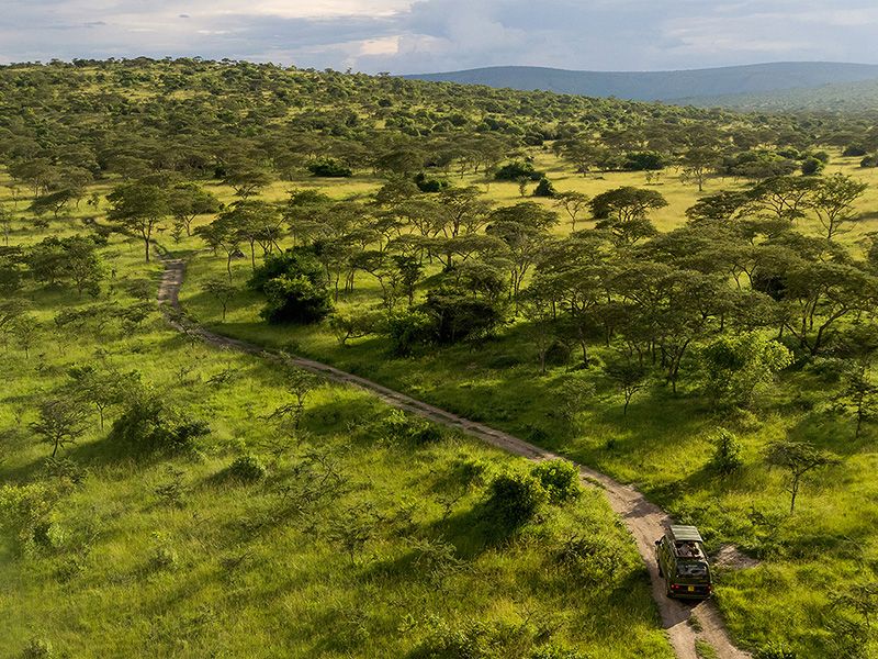 Best of Uganda & Tanzania (17 days)