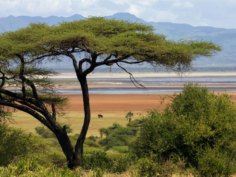 Best of Uganda & Tanzania (17 days)