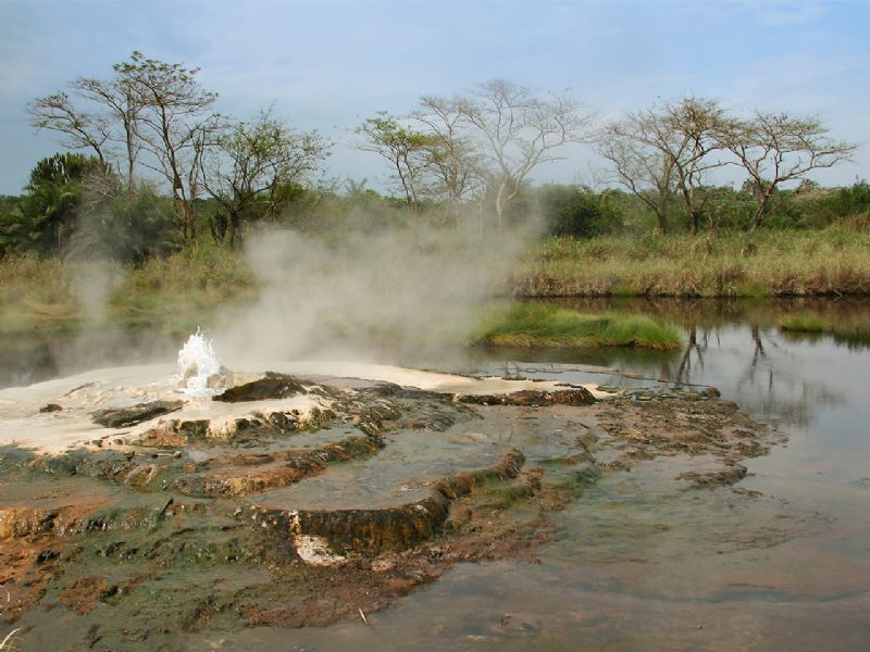 Birding through Uganda