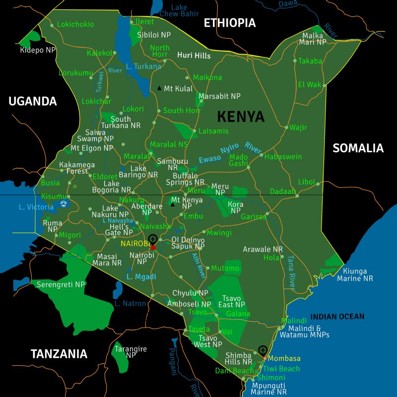 KENYA SAFARIS